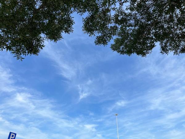 卡塔尔气象预报本周末将有雨伴雷