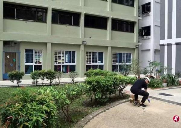 Flower pots and crockery mysteriously thrown from Ang Mo Kio block for 2 days; police investigating