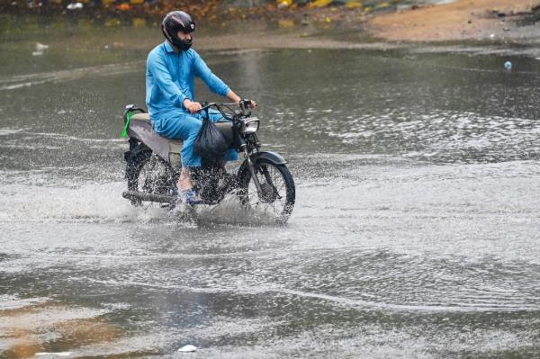 净零目标对地球稳定至关重要：研究