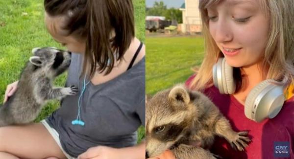 The sisters had “tremendous empathy and love” for animals and volunteered with the CNY Cat Coalition.