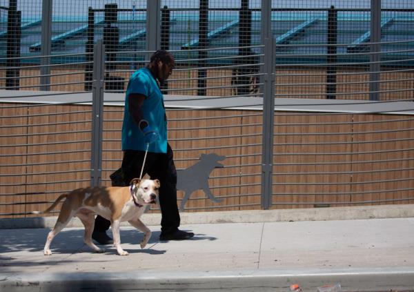 A man walking his dog outside the shelter