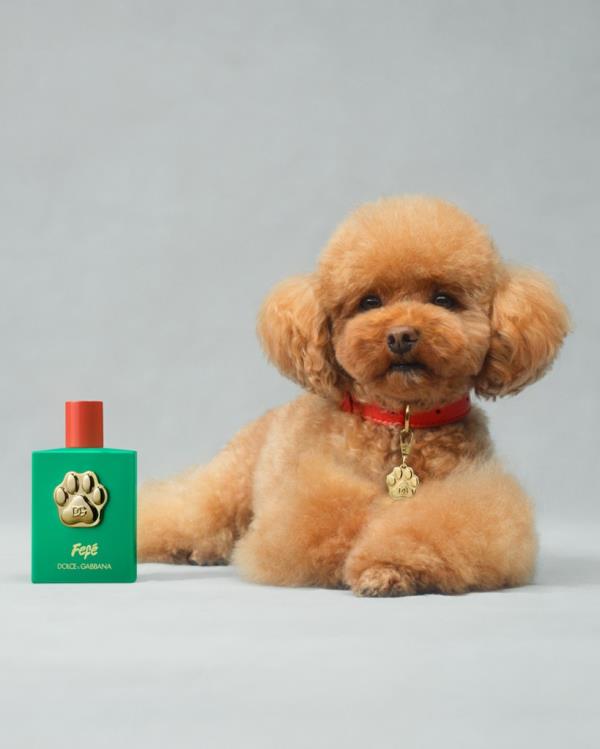 A fluffy small dog with a green bottle of doggie perfume.