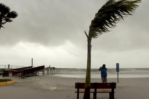 High winds from Debby blowing a palm tree on Ft. Myers Beach.