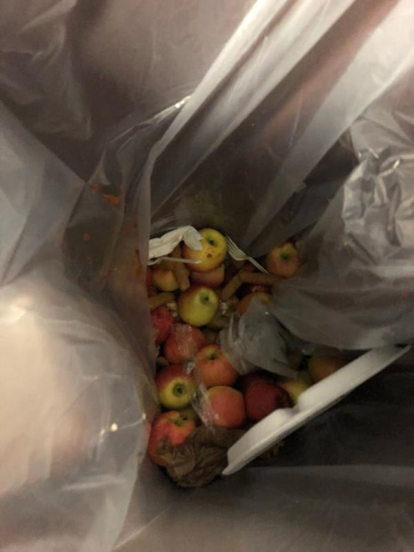 Inside of garbage bag showing discarded apples at a District 17 school in Brooklyn