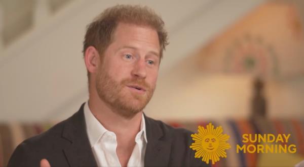 Prince Harry talking. 