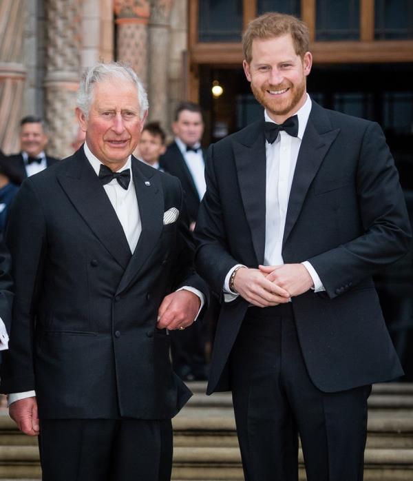 Prince Charles and Prince Harry, both in suits, smiling at the 'Our Planet' global premiere in London, England