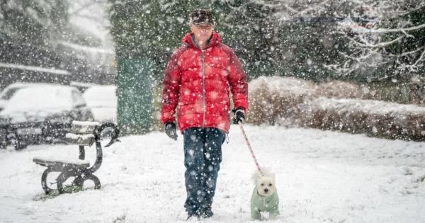 英国天气:英国将迎来“巨大的雪墙”，五个地区将遭受最严重的打击